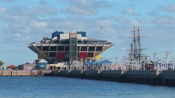 St Petersburg, florida St. pete's pier — Stok video