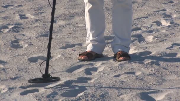 Uomo anziano cammina sulla spiaggia di St. Pete con un metal detector — Video Stock