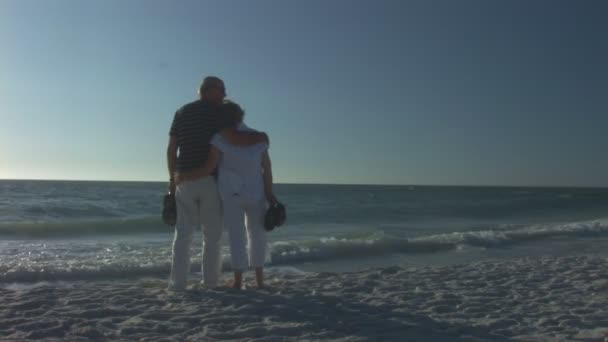 Seniorpar på stranden – stockvideo