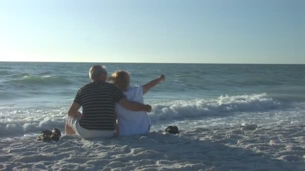 Seniorpar på stranden – stockvideo
