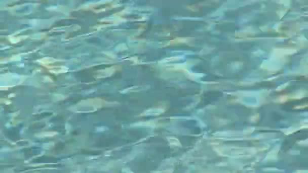 在住宅游泳池水的关门 — 图库视频影像