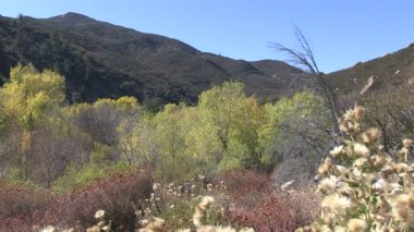 Los padres Ulusal Ormanı