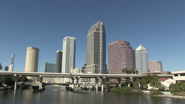 Tampa, Florida — Stockvideo