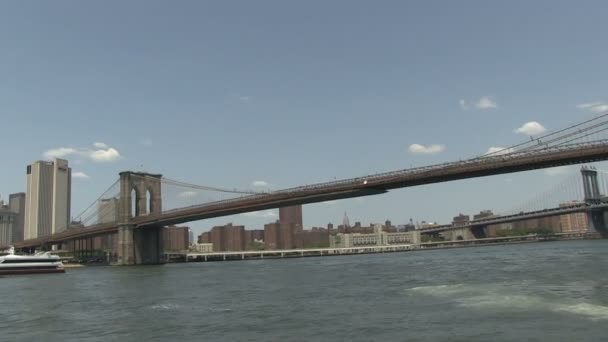 Brooklyn bridge — Stockvideo