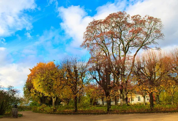 Mikhailovskoye Puszkina hills — Zdjęcie stockowe