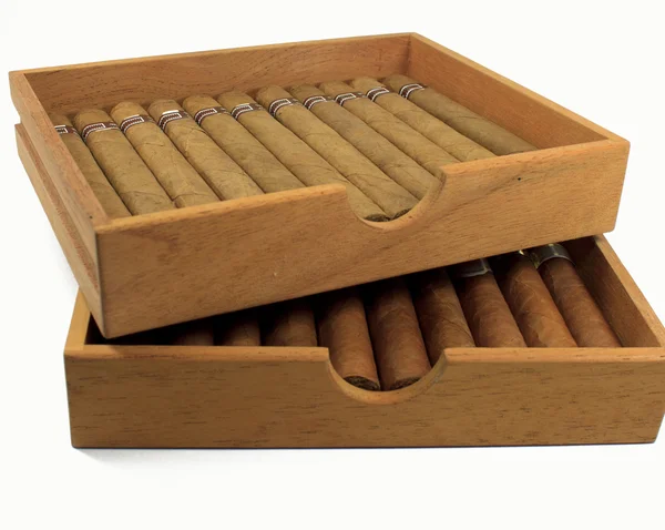 Cigars — Stock Photo, Image