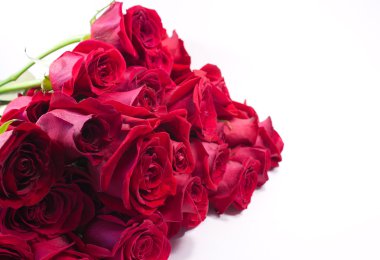 kırmızı gül buketi