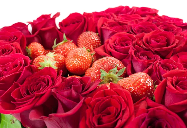 Φράουλες σε τα τριαντάφυλλα — Φωτογραφία Αρχείου