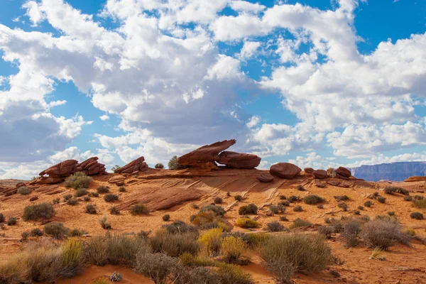 アリゾナ州の砂漠の石 ロイヤリティフリーのストック写真