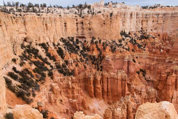 Bryce Canyon — Stock Photo, Image