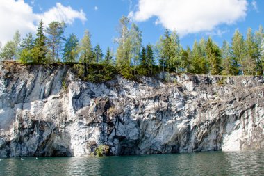 ağaçlar mermer buzlu