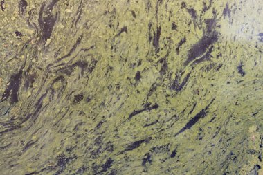 Arka plan sümük su