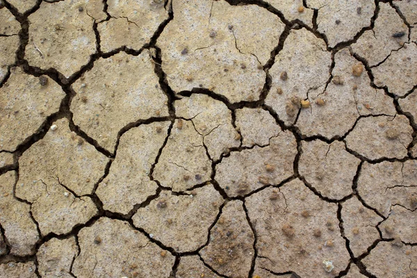 Knäckt lera mals till sjön torr — Stockfoto