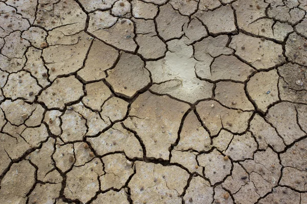 Knäckt lera mals till sjön torr — Stockfoto