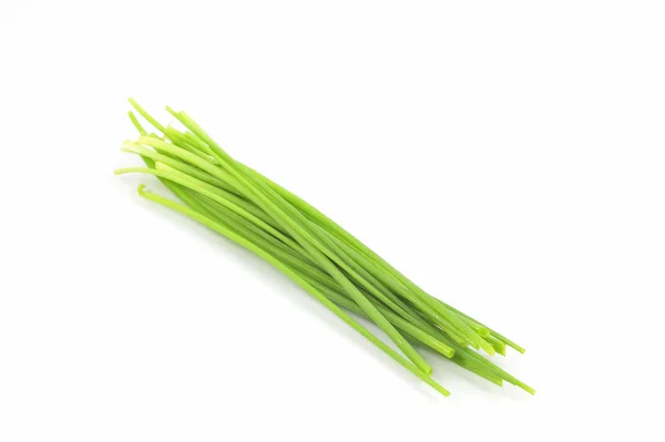 Chives — Stock Photo, Image