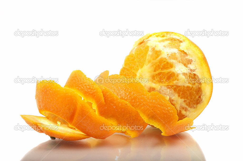 Orange And Shell