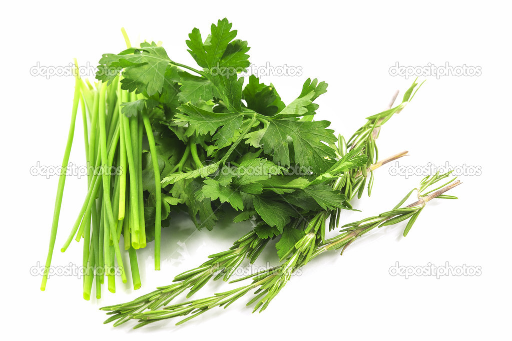 Herbs isolated