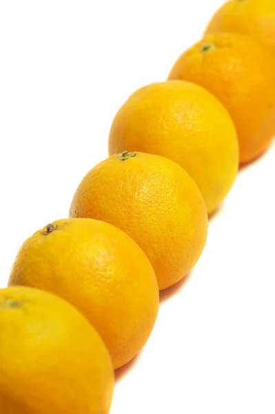 Linha de laranjas — Fotografia de Stock
