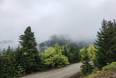 Tzoumerka Arta dağındaki ateş ormanında yol sonbahar mevsiminde Yunanistan 'ı mükemmelleştirir. 