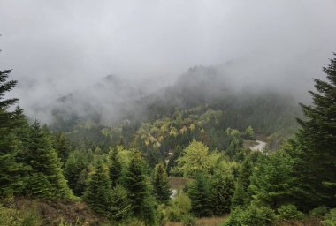 Tzoumerka dağında sonbaharda orman sisli havası, arta mükemmeliyeti, Kypseli köyünün yakınındaki Yunanca