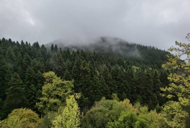 Tzoumerka dağında sonbaharda orman sisli havası, arta mükemmeliyeti, Kypseli köyünün yakınındaki Yunanca