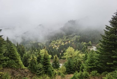 Tzoumerka dağında sonbaharda orman sisli havası, arta mükemmeliyeti, Kypseli köyünün yakınındaki Yunanca