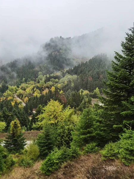 Floresta Nevoeiro Tempo Outono Montanha Tzoumerka Arta Perfeição Grécia Perto — Fotografia de Stock