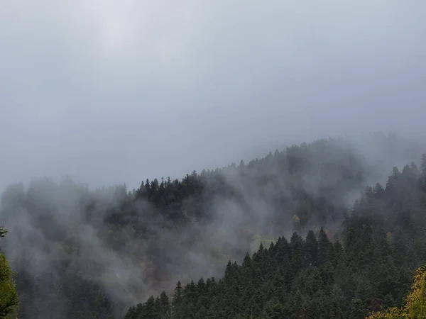 Tzoumerka Dağında Sonbaharda Orman Sisli Havası Arta Mükemmeliyeti Kypseli Köyünün — Stok fotoğraf