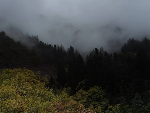 Bosque Niebla Tiempo Otoño Montaña Tzoumerka Arta Perfección Griego Cerca — Foto de Stock