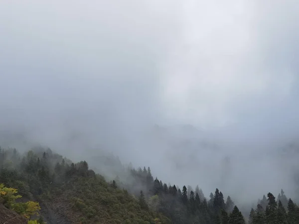 秋天里的森林雾蒙蒙的天气在Zoumerka山 日新月异 希腊靠近Kypseli村 — 图库照片