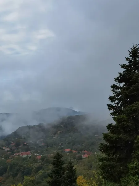 Wald Nebelwetter Herbst Tzoumerka Berg Arta Perfektion Griechenland Der Nähe — Stockfoto