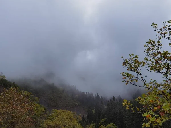 Δάσος Ομιχλώδης Καιρός Φθινόπωρο Tzoumerka Βουνό Arta Perfecture Ελλάδα Κοντά — Φωτογραφία Αρχείου