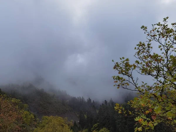 Δάσος Ομιχλώδης Καιρός Φθινόπωρο Tzoumerka Βουνό Arta Perfecture Ελλάδα Κοντά — Φωτογραφία Αρχείου