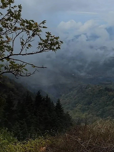 Bosque Niebla Tiempo Otoño Montaña Tzoumerka Arta Perfección Griego Cerca — Foto de Stock