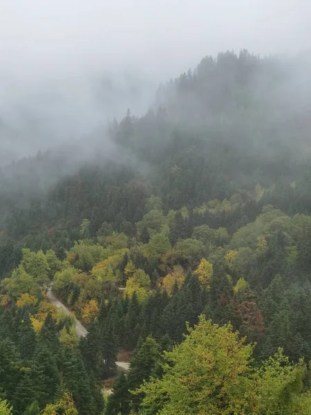 Wald Nebelwetter Herbst Tzoumerka Berg Arta Perfektion Griechenland Der Nähe — Stockfoto