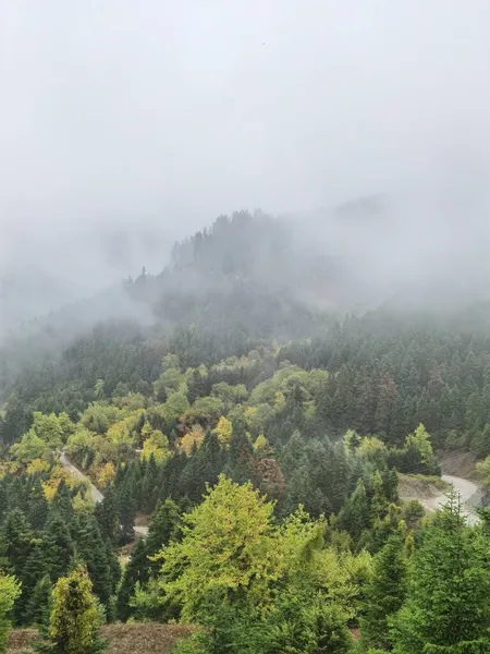 Tzoumerka dağında sonbaharda orman sisli havası, arta mükemmeliyeti, Kypseli köyünün yakınındaki Yunanca