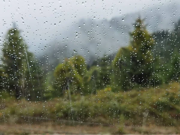 秋天里的森林雾蒙蒙的天气在Zoumerka山 日新月异 希腊靠近Kypseli村 — 图库照片