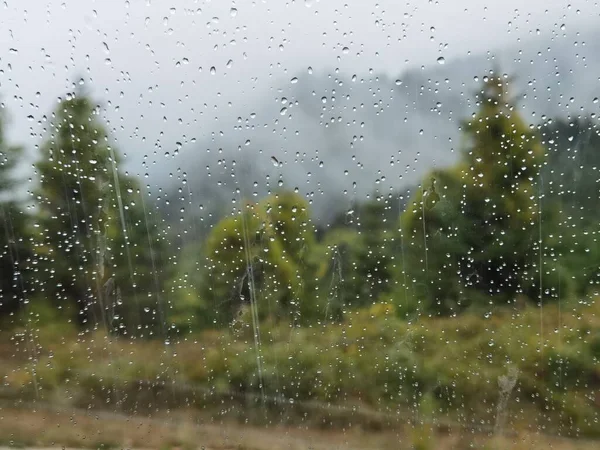 秋天里的森林雾蒙蒙的天气在Zoumerka山 日新月异 希腊靠近Kypseli村 — 图库照片