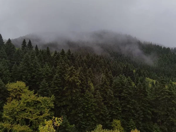 Tzoumerka Dağında Sonbaharda Orman Sisli Havası Arta Mükemmeliyeti Kypseli Köyünün — Stok fotoğraf