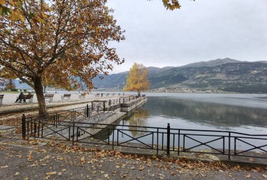İoannina şehrinde sonbahar Yunan, platanus ağaçları... Sokağa bir çok canlı renk düştü.