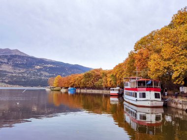 İoannina şehrinde sonbahar Yunan, platanus ağaçları... Sokağa bir çok canlı renk düştü.