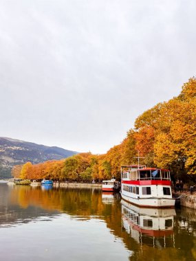İoannina şehrinde sonbahar Yunan, platanus ağaçları... Sokağa bir çok canlı renk düştü.