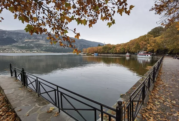 Herbst Ioannina Stadt Griechenland Platanusbäume Gelb Und Braun Farben Auf — Stockfoto