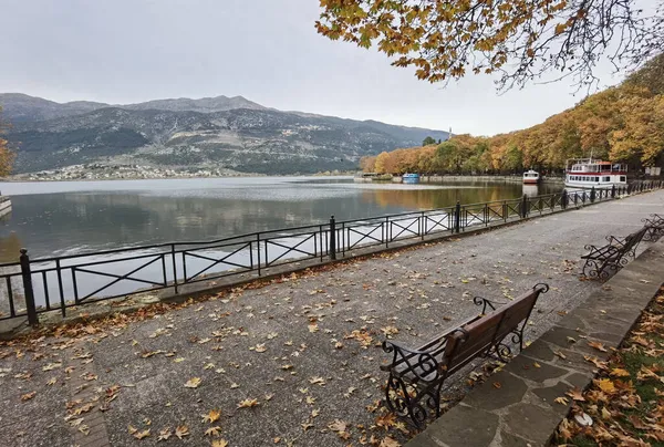 Herbst Ioannina Stadt Griechenland Platanusbäume Gelb Und Braun Farben Auf — Stockfoto
