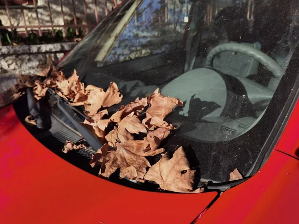 자동차 유리에 남겨진 나뭇잎들은 가을에 여행을 떠납니다 — 스톡 사진