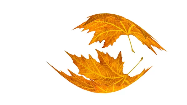 Perle Fallender Herbstblätter Isoliert Auf Weißem Hintergrund Platz Für Ihren — Stockfoto