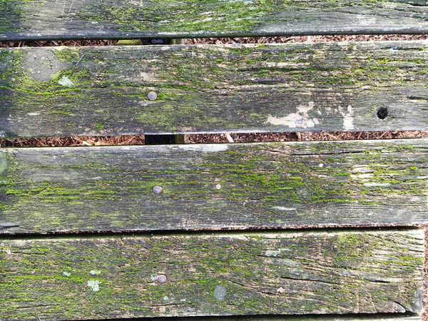 Planken Hout Met Mos Oude Rustieke Natuurlijke Achtergrond — Stockfoto