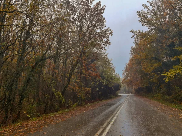 Дорога Вулиця Взимку Восени Селі Вросіна Греція Дощ Туман Водій — стокове фото