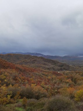 Vrosina Köyü 'nde kışın ve sonbaharda yol ve sonbaharda Greece yağmur sisi drivirng