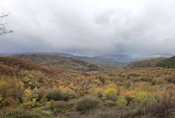 Straße Winter Und Herbst Vrosina Dorf Griechenland Regen Nebel Drivirng — Stockfoto